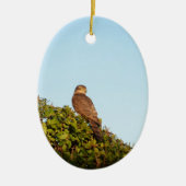 Sperwer Keramisch Ornament (Voorkant)