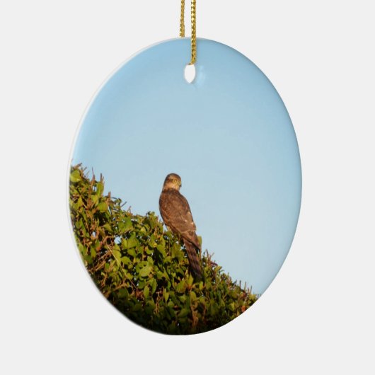Sperwer Keramisch Ornament (Rechts)