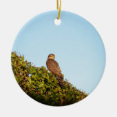 Sperwer Keramisch Ornament (Voorkant)