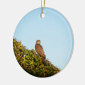 Sperwer Keramisch Ornament (Links)