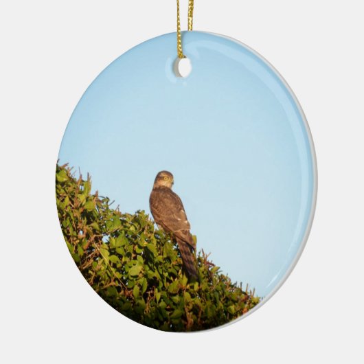 Sperwer Keramisch Ornament (Links)
