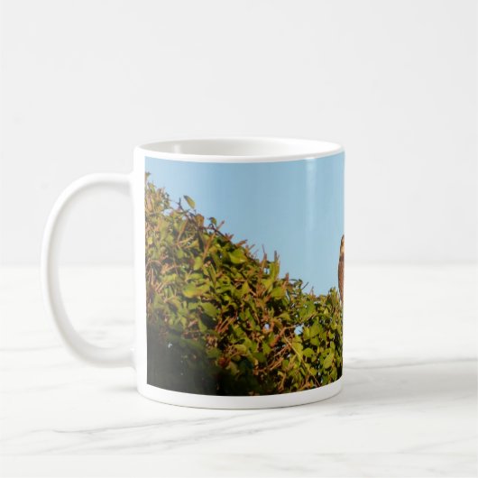 Sperwer Koffiemok (Links)