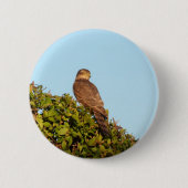 Sperwer Ronde Button 5,7 Cm (Voorkant)