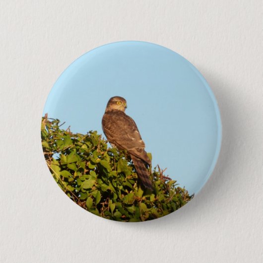 Sperwer Ronde Button 5,7 Cm (Voorkant)