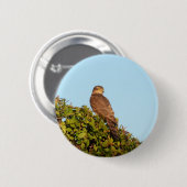 Sperwer Ronde Button 5,7 Cm (Voorkant /achterkant)
