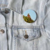 Sperwer Ronde Button 5,7 Cm (In situ)