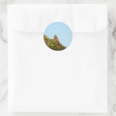 Sperwer Ronde Sticker (Tas)