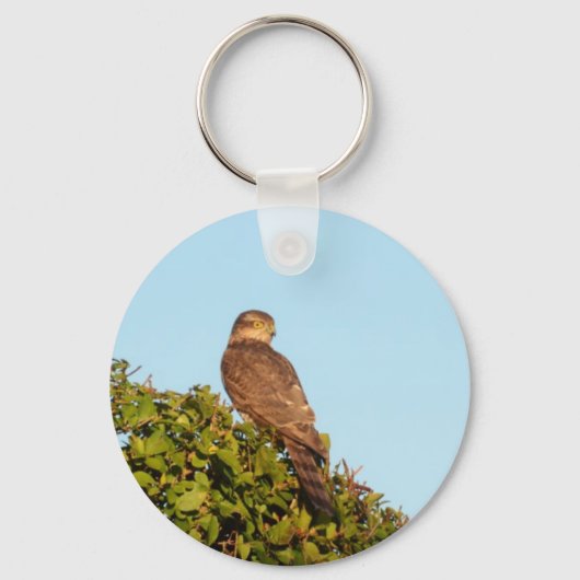 Sperwer Sleutelhanger (Voorkant)