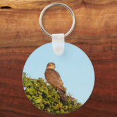 Sperwer Sleutelhanger (Voorkant)