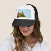 Sperwer Trucker Pet (In situ)