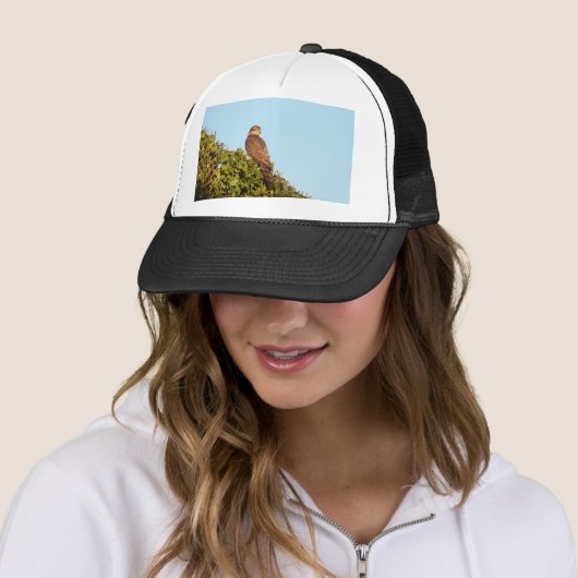 Sperwer Trucker Pet (In situ)