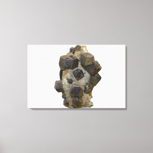 Spessartite in Matrix Canvas Afdruk (Voorkant)