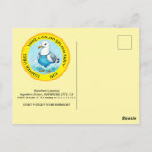 Spetter Spat pret mee Meeuw zomer Zwemborrel Briefkaart (Achterkant)