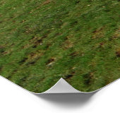 Speurhond Poster (Hoek)