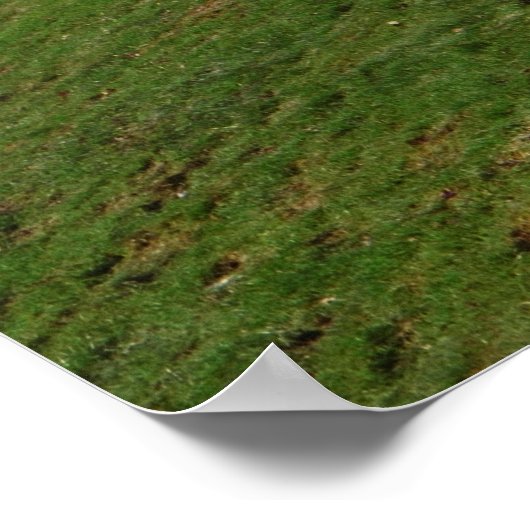 Speurhond Poster (Hoek)