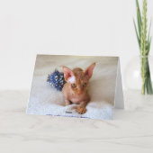 Sphinx Cat Haarloze Chemotherapie Humor Card Kaart (Achterkant)