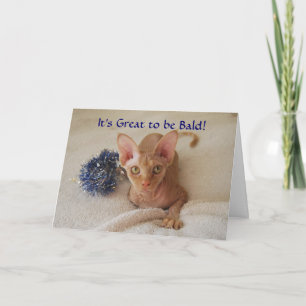 Sphinx Cat Haarloze Chemotherapie Humor Card Kaart