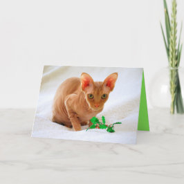 Sphinx Cat Holly Vrolijk Kerstfeest Feestdagen Kaart