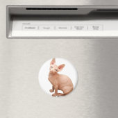 Sphinx cat magneet (Insitu (Vaatwasser))