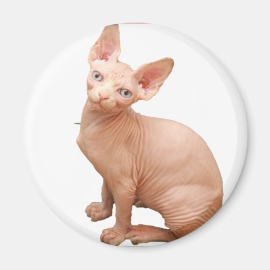 Sphinx cat magneet (Voorkant)