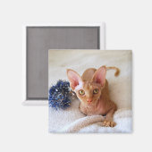 Sphinx Cat met Blue Tinsel Magnet (Voorkant / Achterkant)