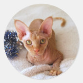 Sphinx Cat met Tinsel Sticker (Voorkant)
