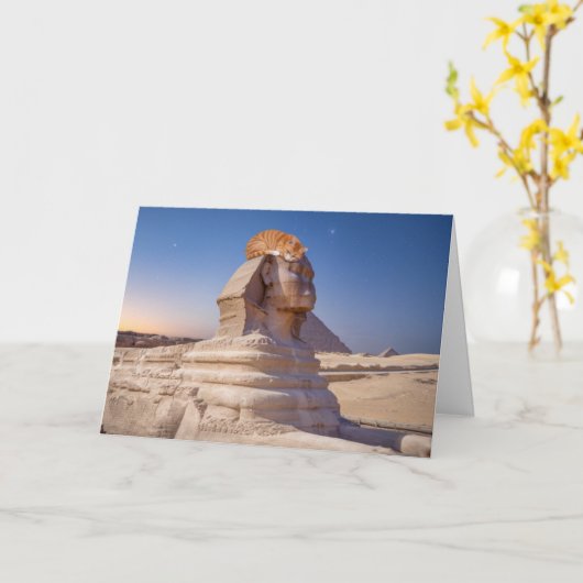 Sphinx Cat Nap Kaart (Gele Bloem)