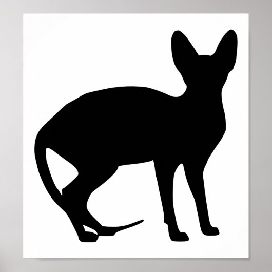 Sphinx cat poster (Voorkant)