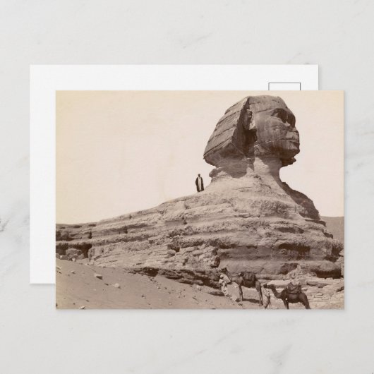 Sphinx Egypt Briefkaart (Voorkant / Achterkant)