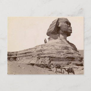 Sphinx Egypt Briefkaart