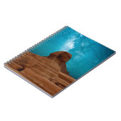 Sphinx: Egypte Notitieboek (Linkerzijde)