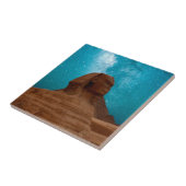 Sphinx: Egypte Tegeltje (Zijkant)