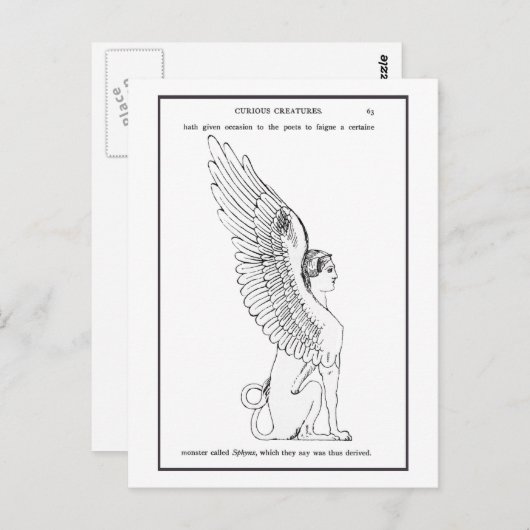  Sphinx-illustratie Briefkaart (Voorkant / Achterkant)