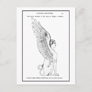 Sphinx-illustratie Briefkaart