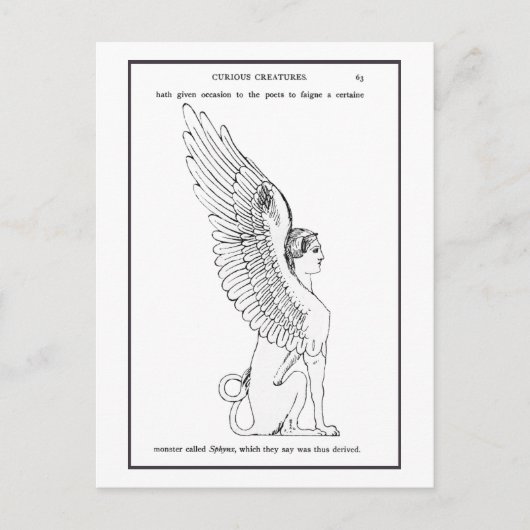  Sphinx-illustratie Briefkaart (Voorkant)