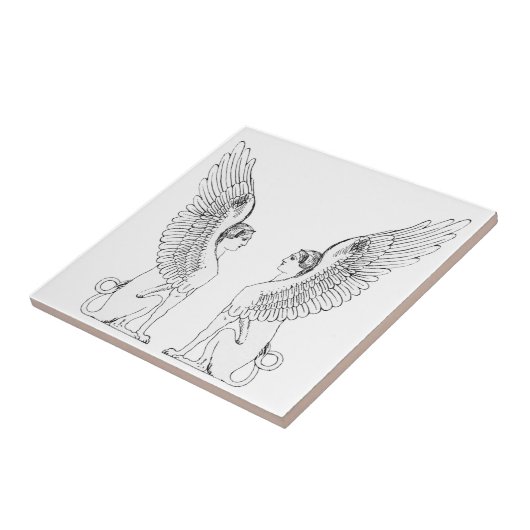  Sphinx-illustratie Tegeltje (Zijkant)