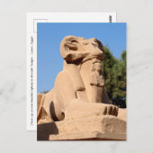 Sphinx in Karnak Temple - Egypte Briefkaart (Voorkant / Achterkant)