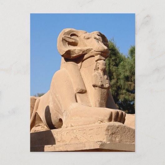 Sphinx in Karnak Temple - Egypte Briefkaart (Voorkant)