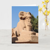 Sphinx in Karnak Temple - Egypte Kaart (Gele Bloem)