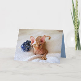 Sphinx-kat met blauwe Tinsel-kaart Feestdagen Kaart