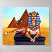 Sphinx met Golden Eyes Poster (Voorkant)