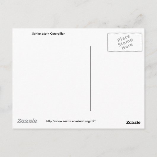 Sphinx Moth Caterpijler op Ludwigia Briefkaart (Achterkant)