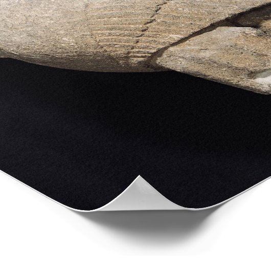 Sphinx Poster (Hoek)