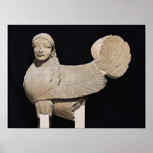 Sphinx Poster (Voorkant)