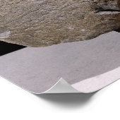 Sphinx uit Vulci Poster (Hoek)