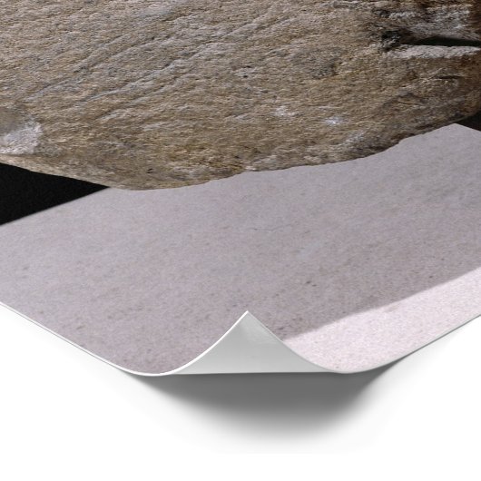 Sphinx uit Vulci Poster (Hoek)