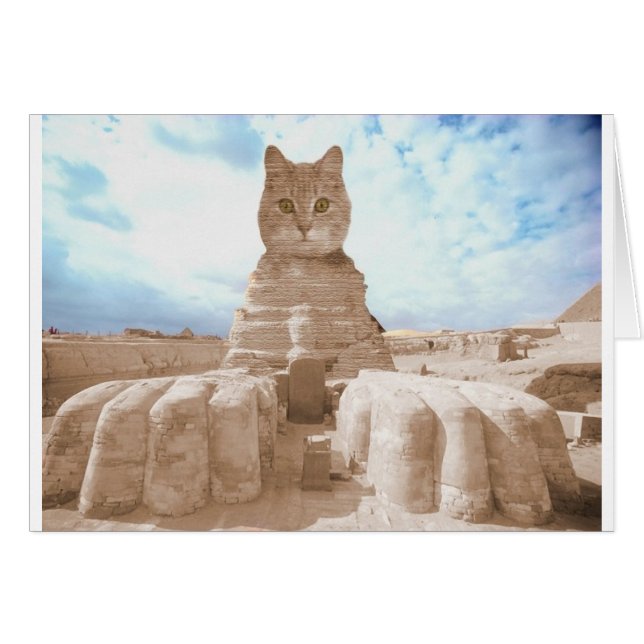 SphinxCat (Voorkant Horizontaal)