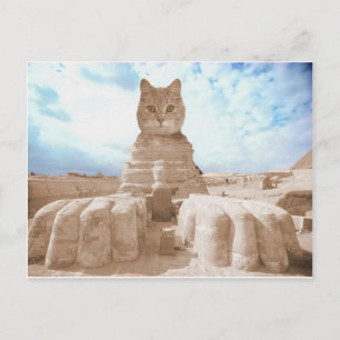 SphinxCat Briefkaart