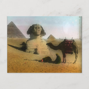 Sphnix en Pyramide-Briefkaart Briefkaart
