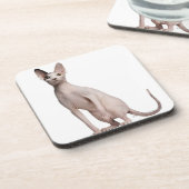 Sphynx (13 maanden oud) drankjes onderzetter (Linkerzijde)